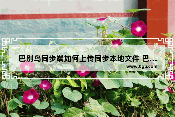 巴别鸟同步端如何上传同步本地文件 巴别鸟同步端上传同步本地文件的方法
