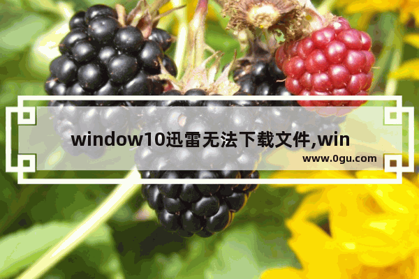 window10迅雷无法下载文件,win10打不开迅雷怎么回事