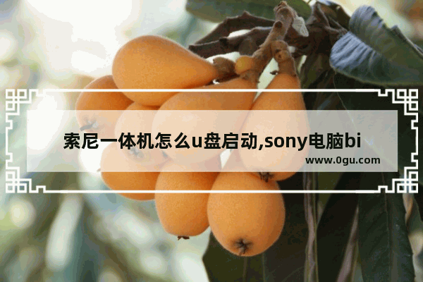 索尼一体机怎么u盘启动,sony电脑bios设置u盘启动