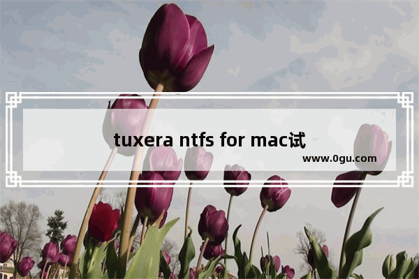 tuxera ntfs for mac试用期已过期,tuxera ntfs for mac内核扩展需要批准