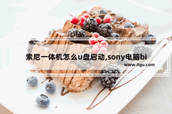 索尼一体机怎么u盘启动,sony电脑bios设置u盘启动