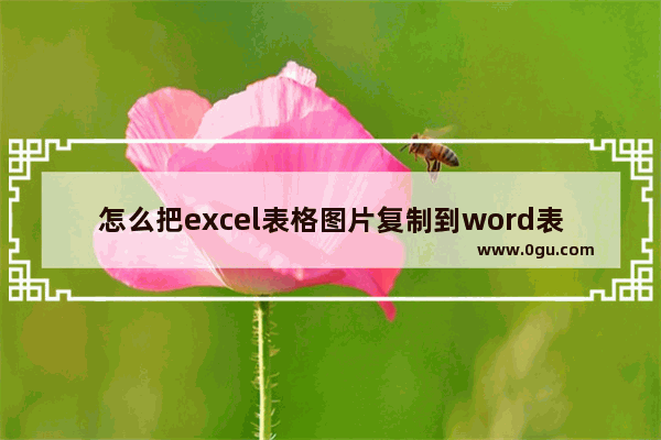 怎么把excel表格图片复制到word表格里,图片表格复制到excel表格