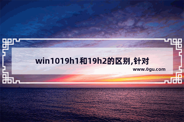 win1019h1和19h2的区别,针对win10的功能更新,版本21H1