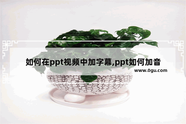 如何在ppt视频中加字幕,ppt如何加音频字幕