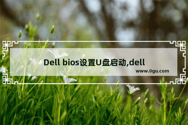 Dell bios设置U盘启动,dell台式机 bios设置u盘启动