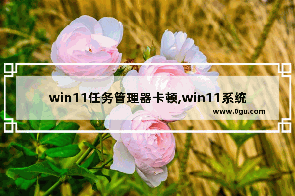 win11任务管理器卡顿,win11系统运行慢