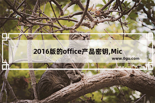 2016版的office产品密钥,Microsoft office2016产品密钥