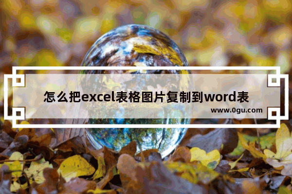 怎么把excel表格图片复制到word表格里,图片表格复制到excel表格