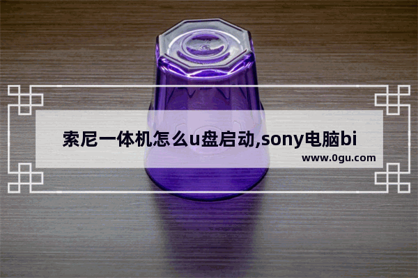 索尼一体机怎么u盘启动,sony电脑bios设置u盘启动