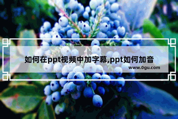 如何在ppt视频中加字幕,ppt如何加音频字幕