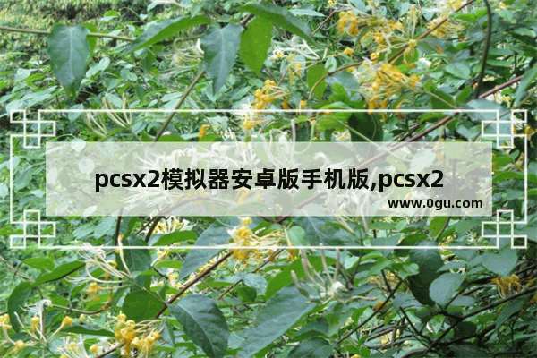 pcsx2模拟器安卓版手机版,pcsx2怎么安装