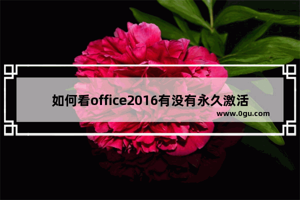 如何看office2016有没有永久激活,office2016怎么看是不是永久激活