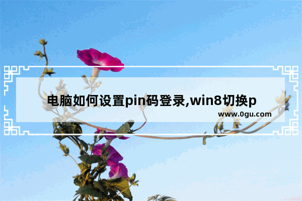 电脑如何设置pin码登录,win8切换pin码登录