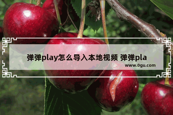 弹弹play怎么导入本地视频 弹弹play导入本地视频的方法