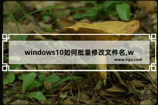 windows10如何批量修改文件名,windows如何批量修改文件名