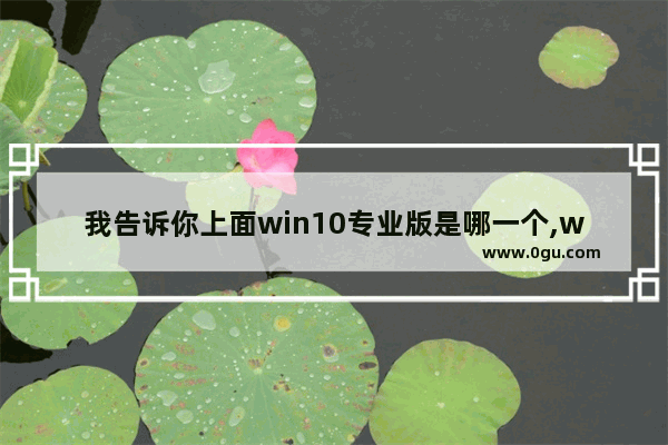 我告诉你上面win10专业版是哪一个,win10专业版有什么功能