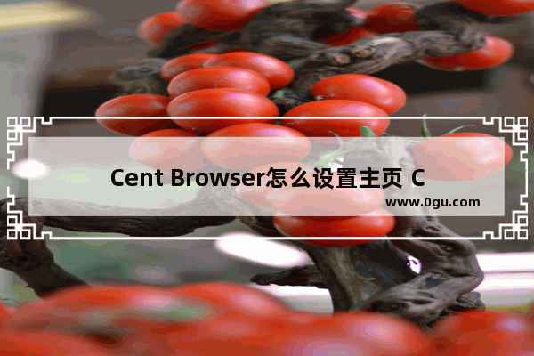 Cent Browser怎么设置主页 Cent Browser设置主页方法