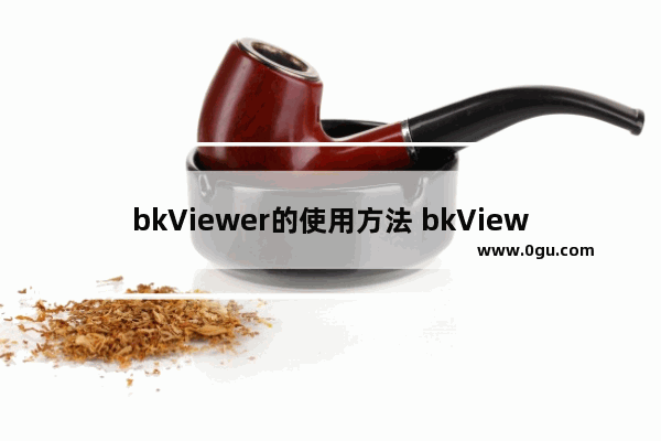 bkViewer的使用方法 bkViewer怎么使用