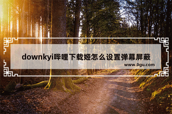 downkyi哔哩下载姬怎么设置弹幕屏蔽类型 downkyi哔哩下载姬设置弹幕屏蔽类型的方法