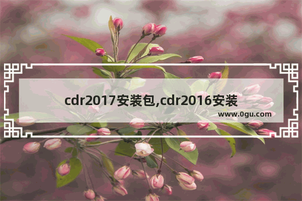 cdr2017安装包,cdr2016安装教程