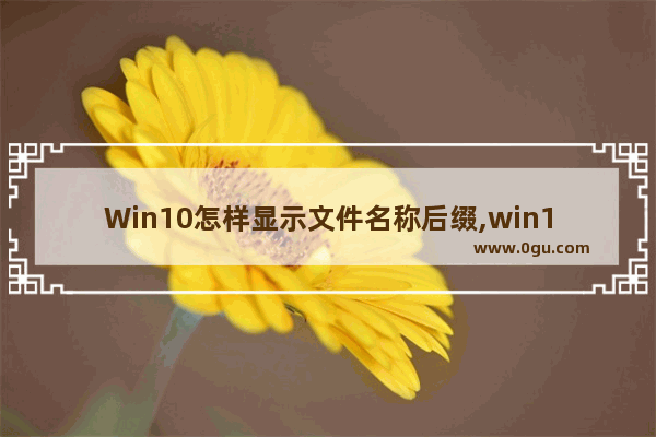 Win10怎样显示文件名称后缀,win10系统怎么显示文件名后缀