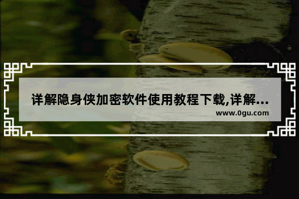 详解隐身侠加密软件使用教程下载,详解隐身侠加密软件使用教程图片