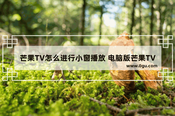 芒果TV怎么进行小窗播放 电脑版芒果TV小窗播放的方法