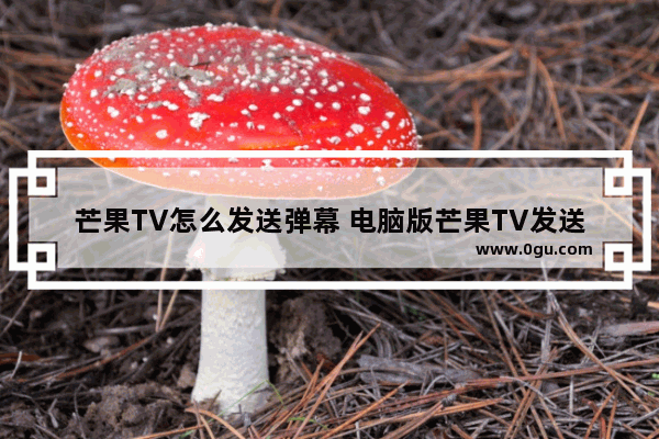 芒果TV怎么发送弹幕 电脑版芒果TV发送弹幕的方法