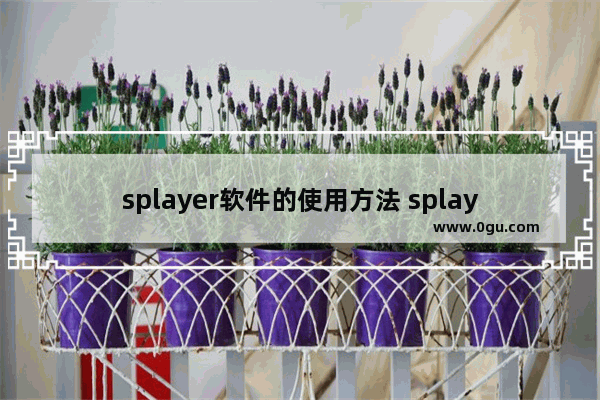 splayer软件的使用方法 splayer软件怎么使用