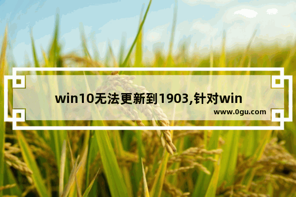 win10无法更新到1903,针对windows10的功能更新1903