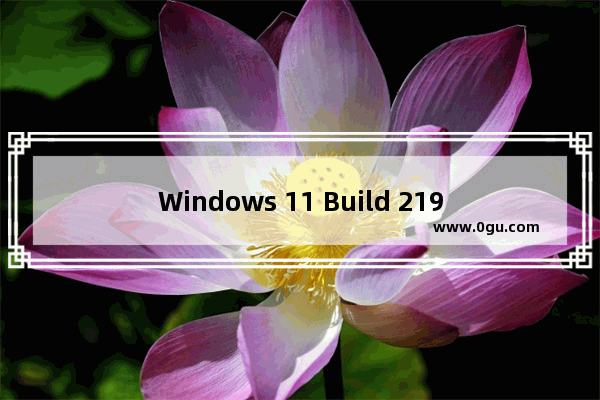 Windows 11 Build 21996,windows 10 build21390