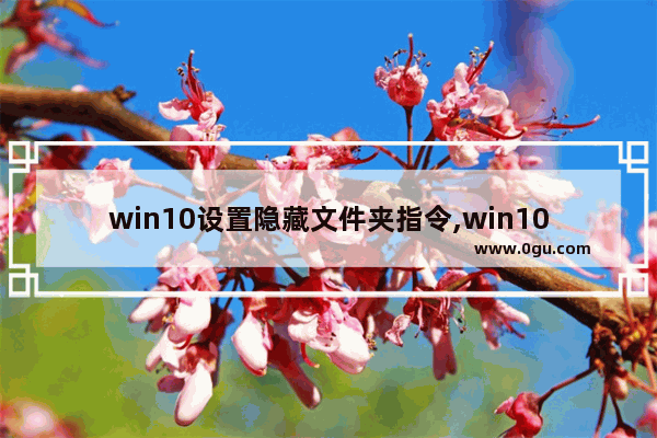 win10设置隐藏文件夹指令,win10怎样设置隐藏文件夹