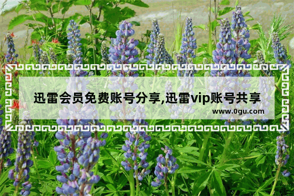 迅雷会员免费账号分享,迅雷vip账号共享最新