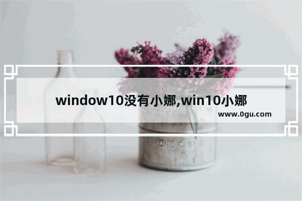 window10没有小娜,win10小娜不支持中国