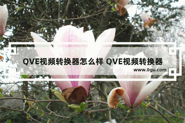 QVE视频转换器怎么样 QVE视频转换器使用方法