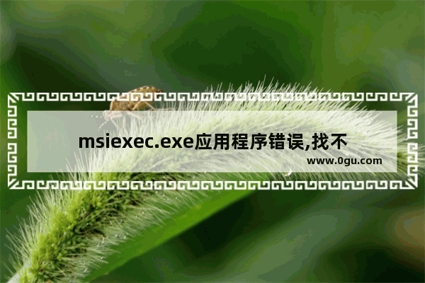 msiexec.exe应用程序错误,找不到msiexec.exe