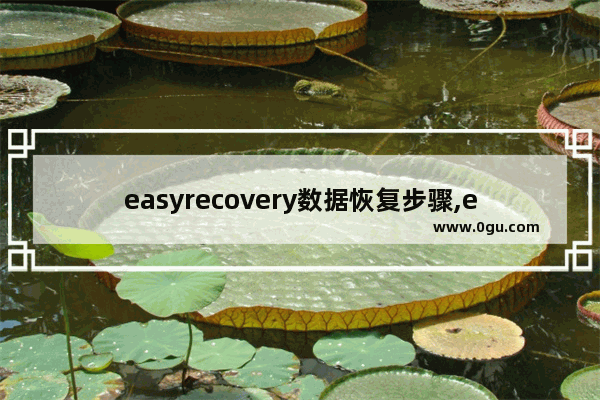 easyrecovery数据恢复步骤,easy recovery数据恢复