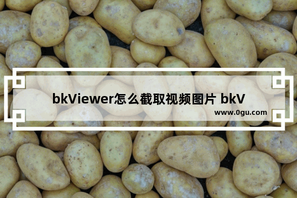 bkViewer怎么截取视频图片 bkViewer截取视频图片方法