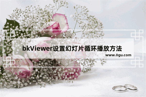 bkViewer设置幻灯片循环播放方法 bkViewer如何设置幻灯片循环播放