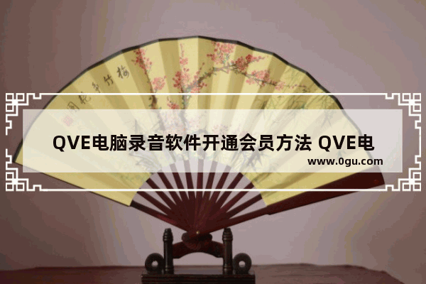 QVE电脑录音软件开通会员方法 QVE电脑录音软件如何购买会员