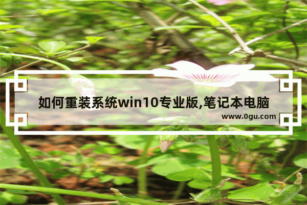 如何重装系统win10专业版,笔记本电脑怎样装windows10专业版