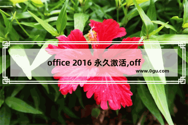 office 2016 永久激活,office2013安装及激活教程