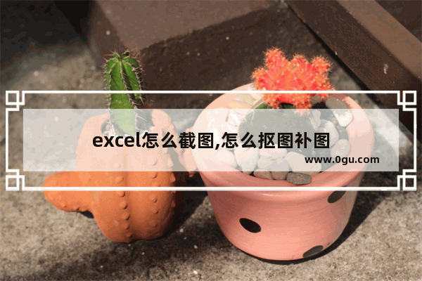 excel怎么截图,怎么抠图补图