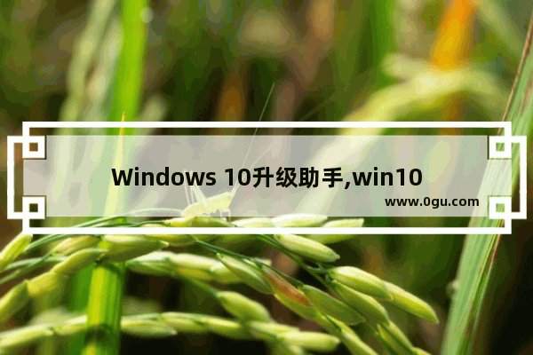 Windows 10升级助手,win10官方升级助手