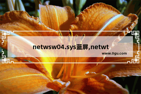 netwsw04.sys蓝屏,netwtw10.sys 蓝屏