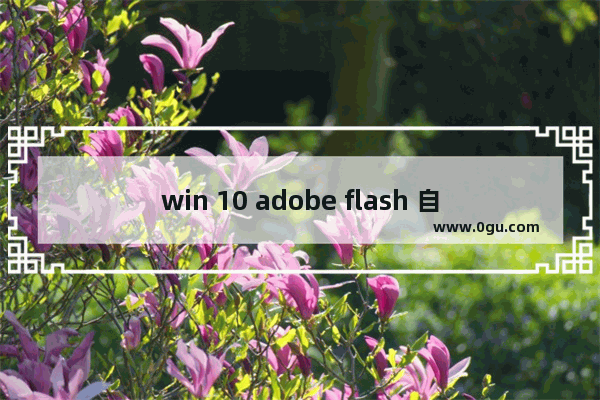 win 10 adobe flash 自动更新关闭,window10的flash player怎么更新