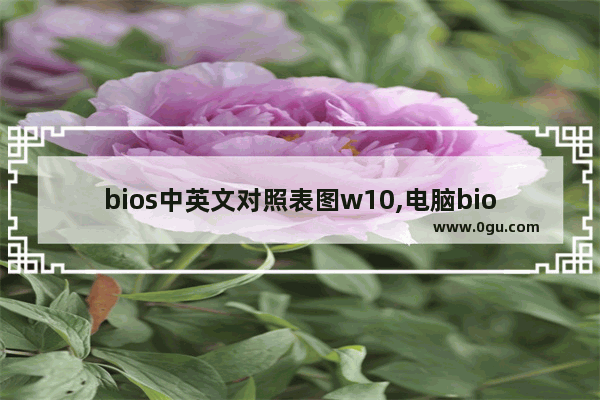 bios中英文对照表图w10,电脑bios中英文对照表