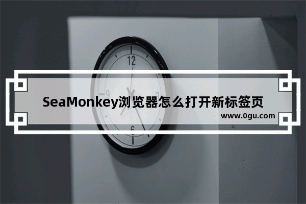 SeaMonkey浏览器怎么打开新标签页 SeaMonkey浏览器打开新标签页的方法