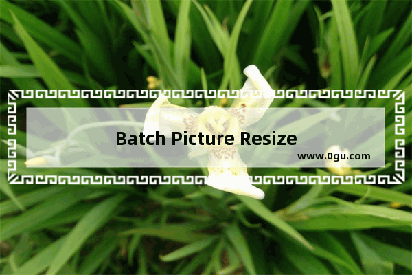 Batch Picture Resizer使用方法 Batch Picture Resizer怎么使用