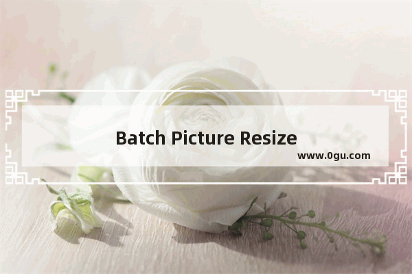 Batch Picture Resizer怎么重命名文件 Batch Picture Resizer重命名文件方法